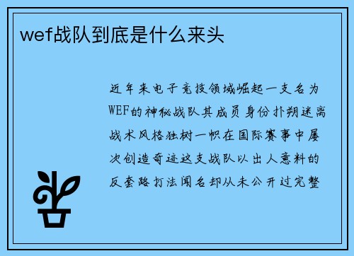 wef战队到底是什么来头